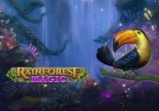 Rainforest Magic