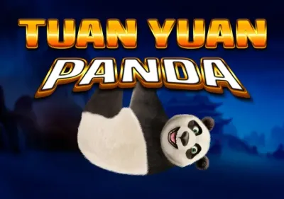 Tuan Yuan Panda game thumbnail
